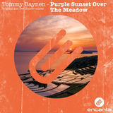 Песня Tommy Baynen - Purple Sunset Over The Meadow (Bee Hunter Remix)