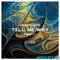 Песня Hagenoørd - Tell Me Why (Original Mix)