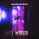 Песня Agunda - I Wanna (feat. DJ M.E.G.)