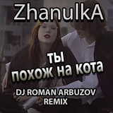 Песня Zhanulka - Ты Похож На Кота (Dj Roman Arbuzov Remix)