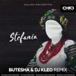 Песня Kalush Orchestra - Stefania (Butesha & DJ Kleo Remix)