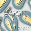 Песня Garna - Moon (Alex Fleev Remix)