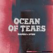 Песня Imanbek - Ocean Of Tears (feat. Dvbbs)