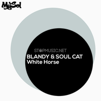 Песня Blandy & Soul Cat - White Horse (Original Mix)