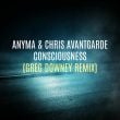 Песня Anyma & Chris Avantgarde - Consciousness (Greg Downey Remix)