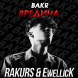 Песня Bakr - Вредина (Rakurs & Ewellick Remix)