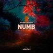 Песня Goodboys - Numb (feat. Avaion)