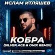 Песня Ислам Итляшев - Кобра (Silver Ace & Onix Remix)