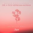 Песня Natalie Gioia & Shkoda - Ой, У Лузі Червона Калина (Get Better Remix)