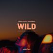 Песня Tough Love - Wild (feat. Tape Angel)