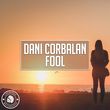 Песня Dani Corbalan - Fool (Radio Edit)