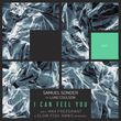 Песня Samuel Sonder & Luke Coulson - I Can Feel You (Max Freegrant & Slow Fish Remix)