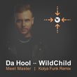 Песня Da Hool & WildChild - Meet Master (Kolya Funk Remix)