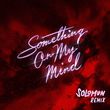 Песня Duke Dumont & Purple Disco Machine - Something On My Mind (Solomun Remix)