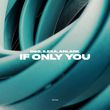 Песня D&S - If Only You (feat. Ilexa & Anlark)