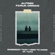 Песня Altrox - Somebody That I Used To Know (feat. Faruk Orman & Tyzn)