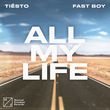 Песня Tiesto - All My Life (feat. Fast Boy)