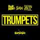 Песня Sak Noel & Salvi feat. Sean Paul - Trumpets (Radio Edit)