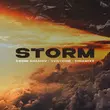 Песня Vadim Adamov - Storm (feat. Venteris & Dinamixx)