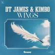 Песня DT James - Wings (feat. Kimbo)