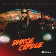 Песня Амина Магомедова - Дикое Сердце