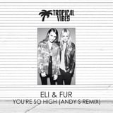 Песня Eli And Fur - You're So High (Andy S Remix)