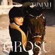 Песня Grosu - Туман (Iksiy Version)