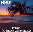 Песня Nrd1 - Pedro (A-traxx Latin Remix)