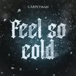 Песня Carpetman - Feel So Cold