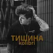 Песня Kolibri - Тишина