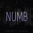 Песня Tommee Profitt - Numb (feat. Skylar Grey)