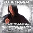 Песня DJ Piligrim - Ты Меня Забудь (Dobrynin Remix)