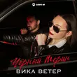 Песня Вика Ветер - Чёрный Мерин