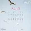 Песня Tanir - Май (feat. Tyomcha)