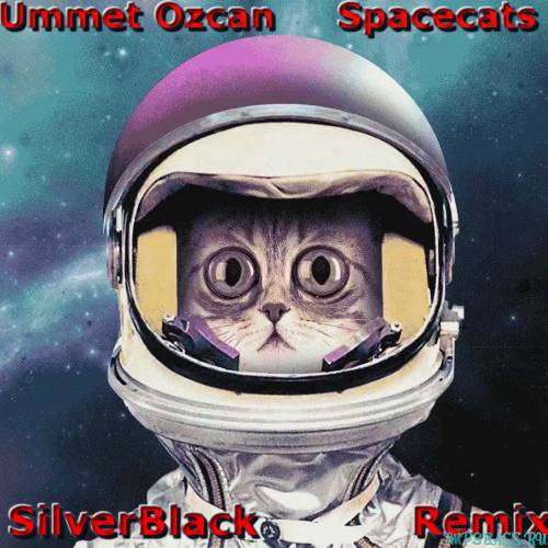 Песня Ummet Ozcan - Spacecats (SilverBlack Remix)