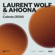 Песня Laurent Wolf - Calinda (feat. Ahoona)