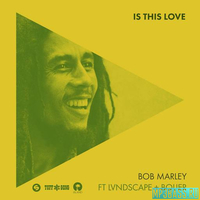 Песня Bob Marley feat. LVNDSCAPE & Bolier - Is This Love (Extended Mix)