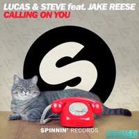 Песня Lucas & Steve feat. Jake Reese - Calling On You (Extended Mix)