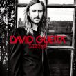 Песня David Guetta & Emeli Sande - What I Did For Love (Extended Mix)