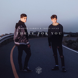 Песня Martin Garrix - There For You (feat. Troye Sivan)