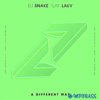 Песня DJ Snake - A Different Way (feat. Lauv)