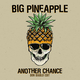 Песня Big Pineapple - Another Chance (Don Diablo Extended Edit)