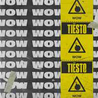 Песня Tiesto - Wow (Radio Edit)