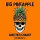 Песня Big Pineapple - Another Chance (Don Diablo Chill Mix)