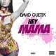 Песня David Guetta Ft. Nicki Minaj & Afrojack - Hey Mama (Noizekid Bootleg)